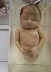 奇迹：女尸雪埋六百年 竟成功生下7kg活婴