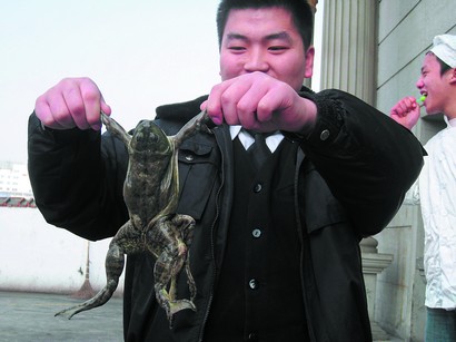 怪异牛蛙生6条腿 疑为基因突变造成畸形(图)