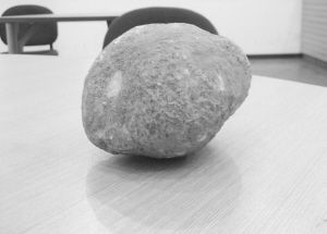 女子宰杀毛驴 驴肠滚出怪异“石头”(图)