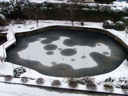 安徽池州池塘现“几何图形”结冰怪象(图)