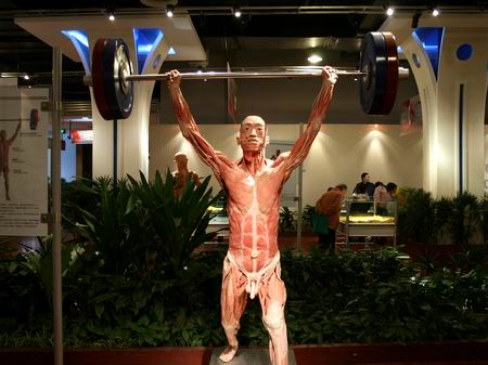 四川科技馆展出国内最大完整人皮(组图)