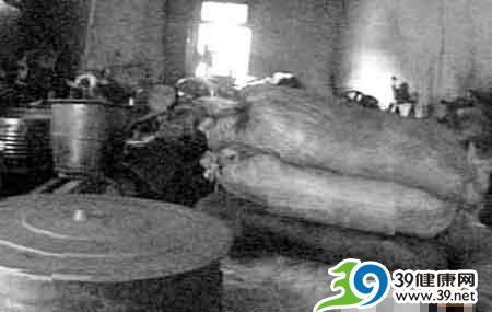 暗访广东花生油市场：恶臭作坊榨出浓香油(图)