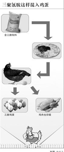 专家称鸡蛋问题缘于饲料 慎吃鸡内脏