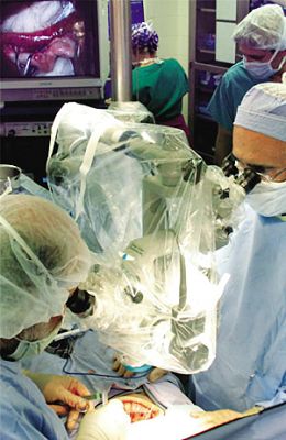 女子卵巢移植后怀孕 将生下首例全卵巢移植婴儿