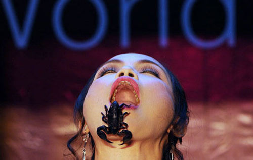 口含活毒蝎2分零3秒 泰“蝎后”创新纪录(图)