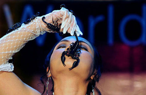 口含活毒蝎2分零3秒 泰“蝎后”创新纪录(图)