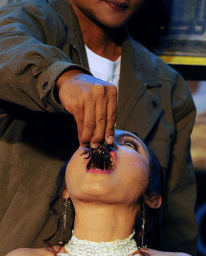 口含活毒蝎2分零3秒 泰“蝎后”创新纪录(图)