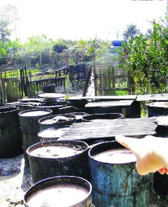 餐厨垃圾无人监管 百万吨脏水暗炼地沟油(图)