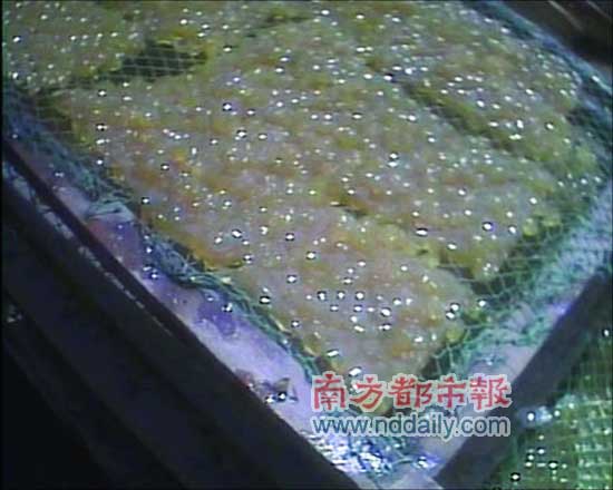追查皮革水解物：臭皮鞋被我们吃进肚里(图)