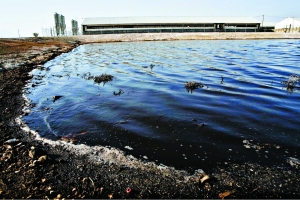 探访墨西哥新型流感暴发地:寻疫情元凶