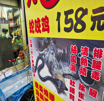 重庆现毒蛇咬鸡菜式 卫生部门表示将叫停(组图)