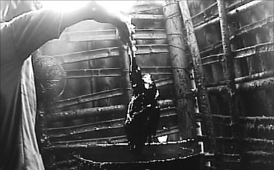 黑作坊毒油煺鸭毛 各部门相邻浑不知