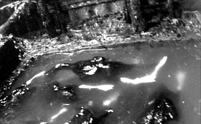 黑作坊毒油煺鸭毛 各部门相邻浑不知