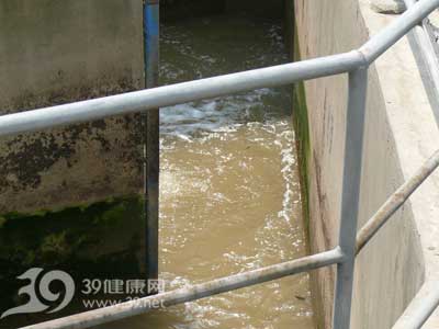 达标排“臭”就有理(上)?