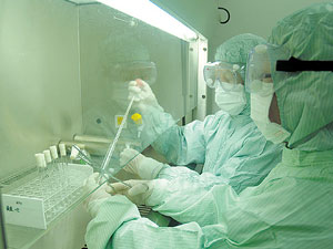 甲流疫苗可9月前上市 产量较预期或降五成