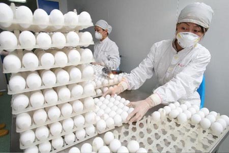 首批国产甲型H1N1流感病毒疫苗将上市