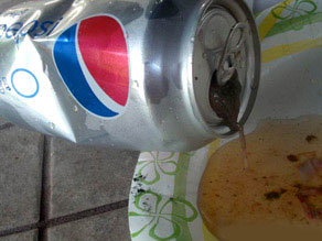 夫妇可乐罐内发现青蛙 制造商暂无回应(图)