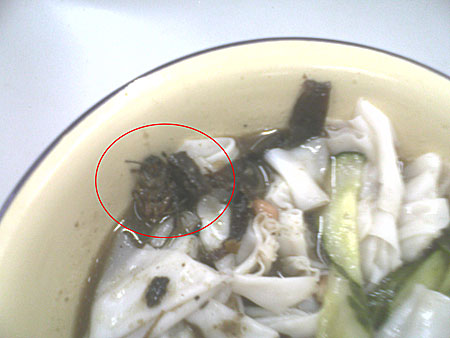 女白领餐厅吃瘦肉粉 竟咀嚼出蟑螂腿！