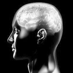 研究发现“癫痫”会引发自我错误辨识(图)