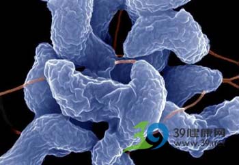 英国研究人员称:甲流病毒能更深入侵害肺细胞