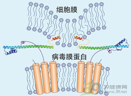 世卫称甲流病毒并未实质变异 疫苗药物仍有效
