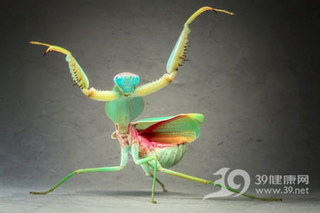 焦点摄影大赛：最美的科研一刻(组图)