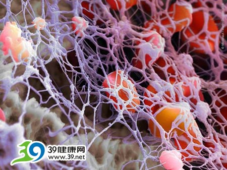 焦点摄影大赛：最美的科研一刻(组图)