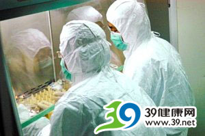 专家详解甲流疫苗生产原理和过程(图)