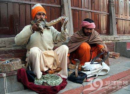 印度科学家绘首份本国人基因组图谱 全球第六份