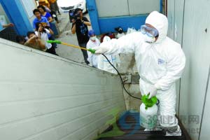 上海约500人接种甲流疫苗后有不良反应