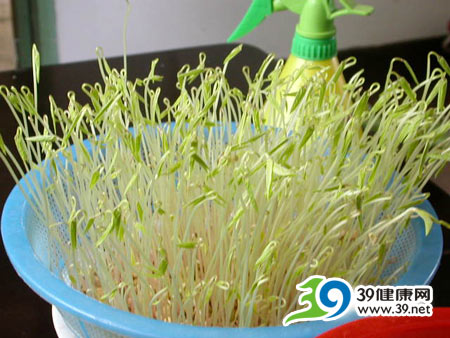 “保险粉”加工的豆芽菜真的“保险”吗？