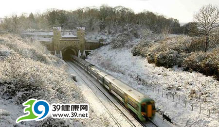 罕见寒流袭击欧洲一周内43人被冻死(图)