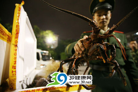 组图：深圳边防一天截获两批涉嫌走私龙虾