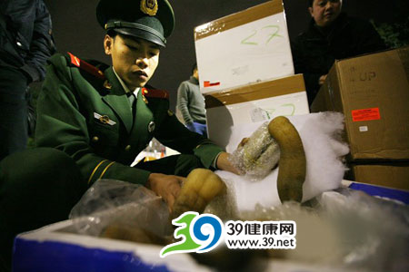 组图：深圳边防一天截获两批涉嫌走私龙虾