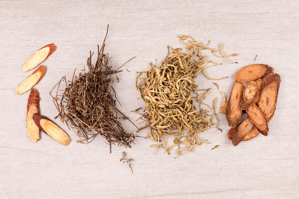 第四届中医药发展论坛成功举行