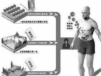 小心！农民自曝毒菜毒肉生产内幕（图）