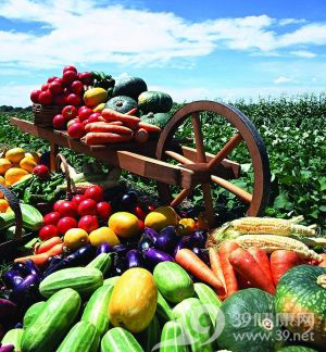 揭幕：有机蔬菜多为幌子