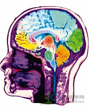 磁铁可影响人类大脑是非判断