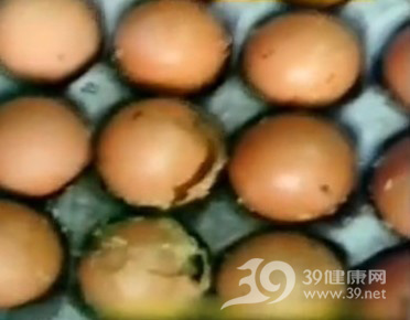 富士康再爆丑闻 员工早餐全部用生蛆鸡蛋制作