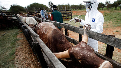 南非动物源性传染疾病已致15人死亡