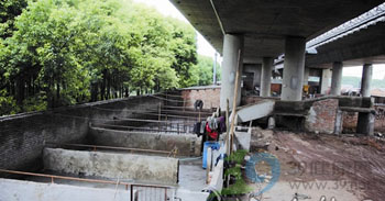 猪贩称给生猪注水是行业“潜规则”