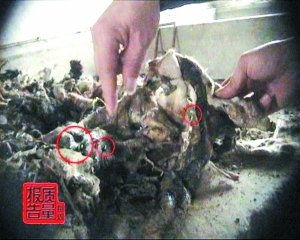 阿胶黑幕：下脚料熬出“国药阿胶”