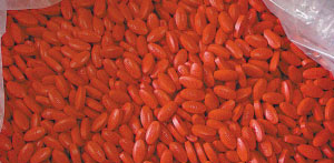 杭州史上最大假药案：涉案金额3000万