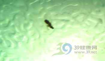 黑新闻：未开封美汁源饮料瓶中惊见黑色飞虫