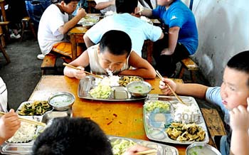 小胖子减肥夏令 餐饮素食为主