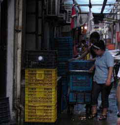 黑新闻：污水横流 小龙虾作坊环境甚忧