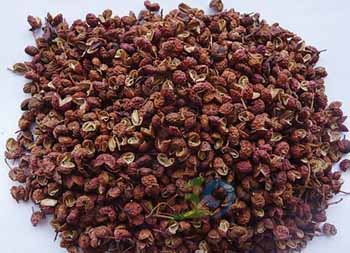 黑新闻：南宁玉林部分花椒掺假严重