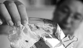 黑新闻：亨氏米粉居然吃出了死苍蝇！