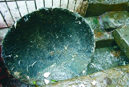 黑新闻：松香沥青处理鸭毛兔毛 常食用可致癌