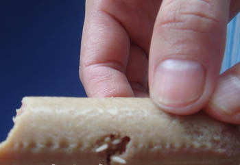 黑新闻:金锣“肉粒多”长蛆虫 厂家无回应